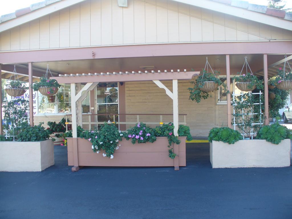 Rodeway Inn Near Downtown Monterey Exteriér fotografie